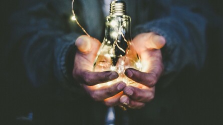 Investor 1 Resident Visa New Zealand